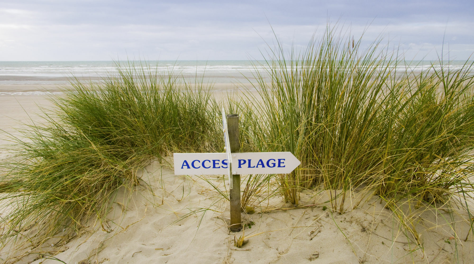 โนโวเทล ทาลัสซา เลอ ตูเกต์ Hotel Le Touquet ภายนอก รูปภาพ